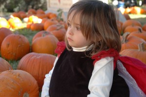 pumpkin patch 09