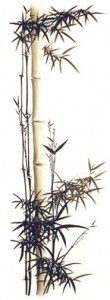 Daily OM Image