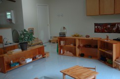Inside Butterfly Garden